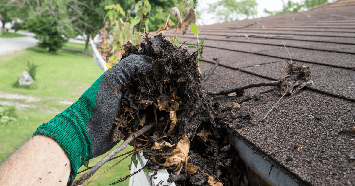 close up of a gloved hand holding leaves and sticks pulled from a home's gutter