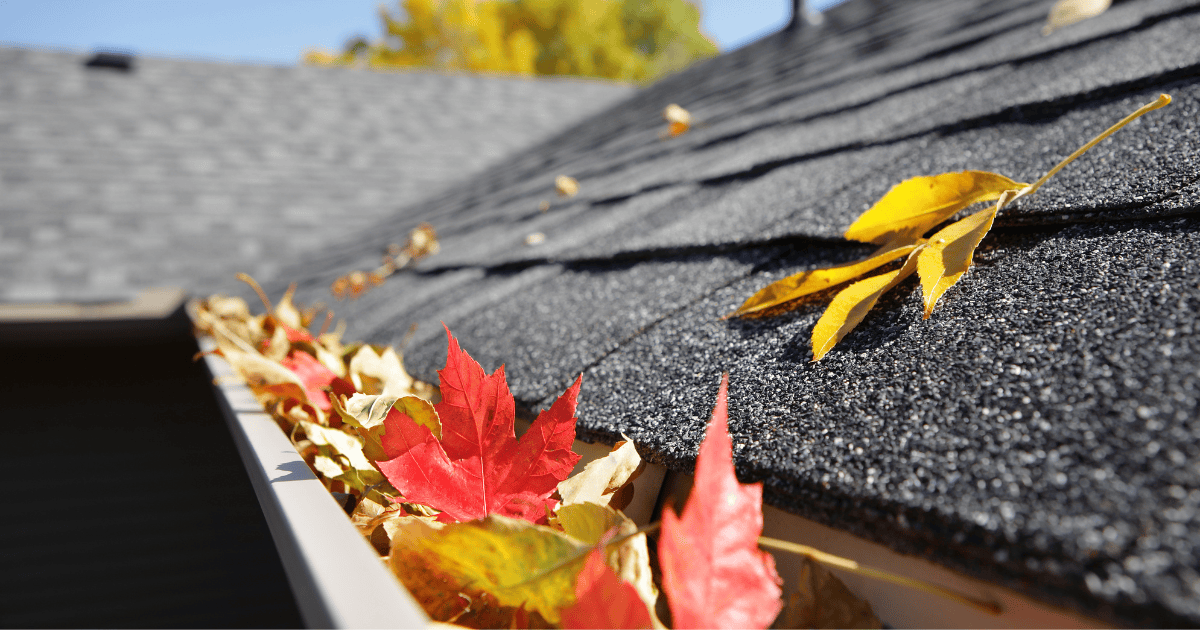 Gutter Cleaning 101: Why It Matters More Than You Think
