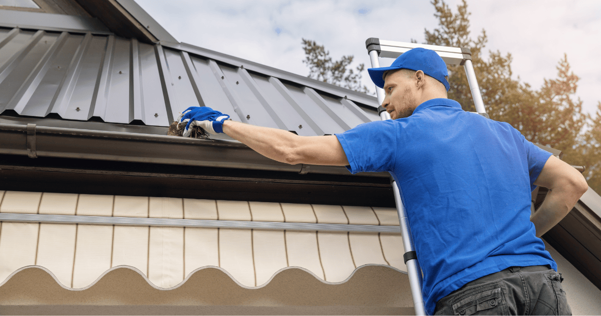 a man on a ladder using his hand to remove leaves from a roof gutter