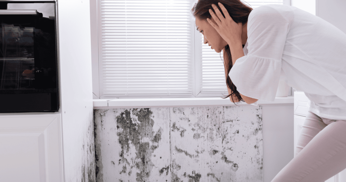 Preventing Mold and Moss Growth in Seattle Homes